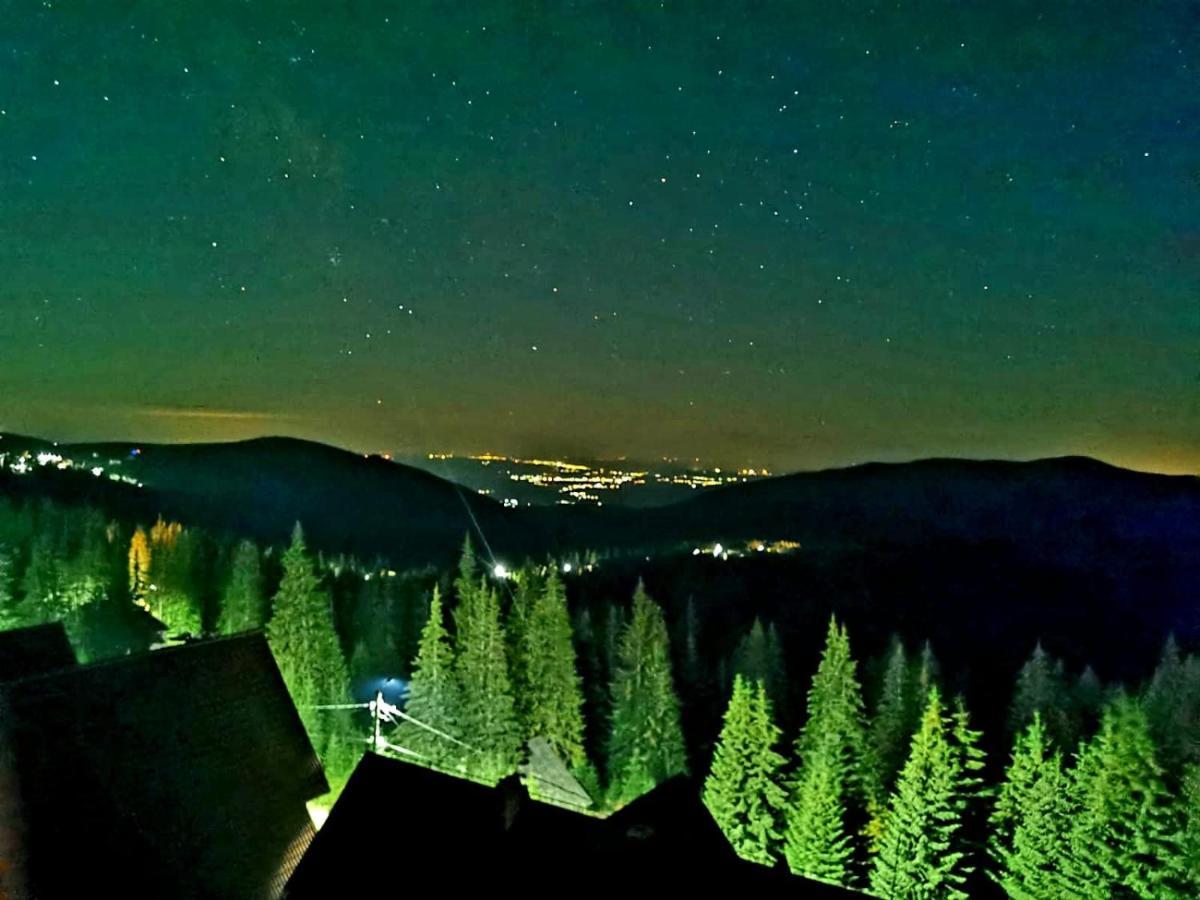 Complex Veverita Ranca Dış mekan fotoğraf